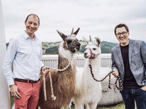 Chefs mit Lamas