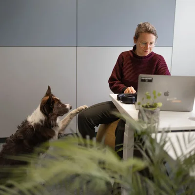 SIWA Mitarbeiterin mit ihrem Hund bei der Arbeit am Laptop