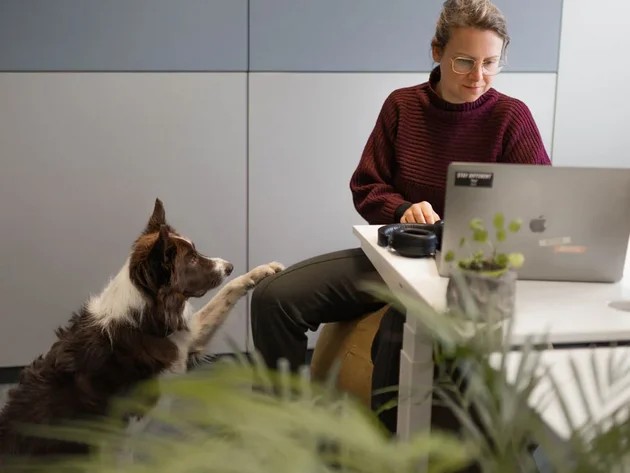 SIWA Mitarbeiterin mit ihrem Hund bei der Arbeit am Laptop