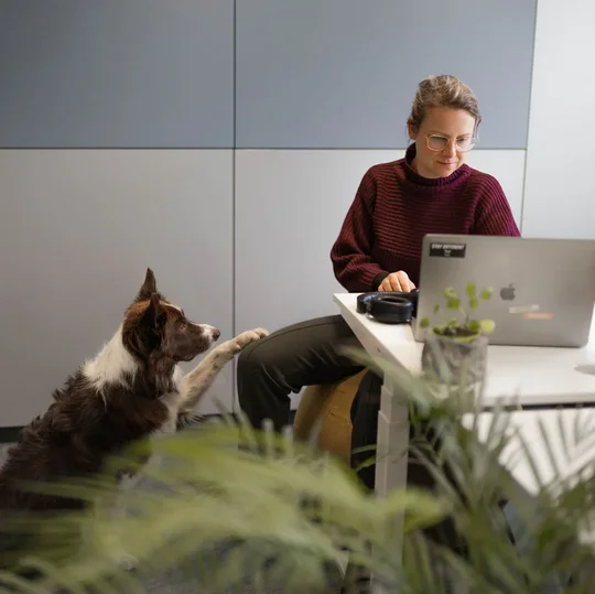 SIWA Mitarbeiterin mit einem Hund am laptop