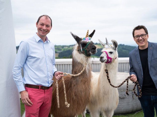 SIWA Geschäftsführer Jochen und Matthias mit zwei Alpakas auf der SIWA Dachterrasse