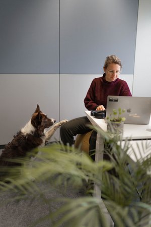 SIWA Designerin und ihr Hund bei der Arbeit.