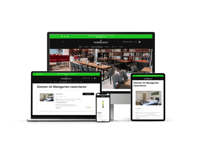 Website und Webshop Ansicht auf Laptop, Bildschirm, Tablet und Smartphone