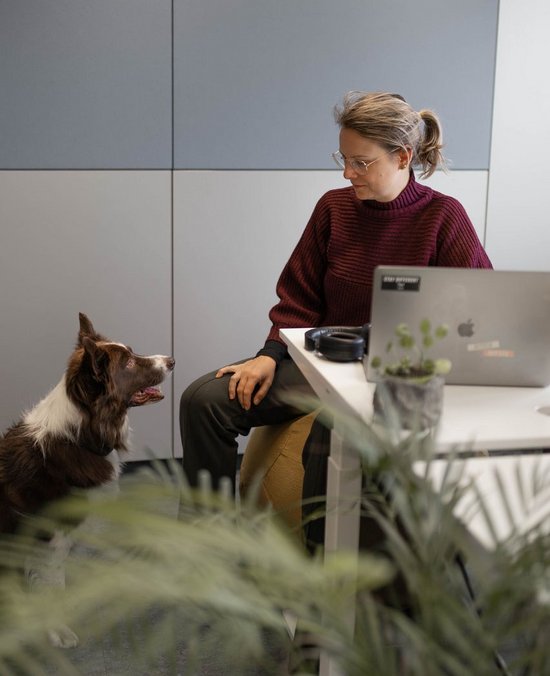 SIWA Mitarbeiterin Webdesign mit Office Dog
